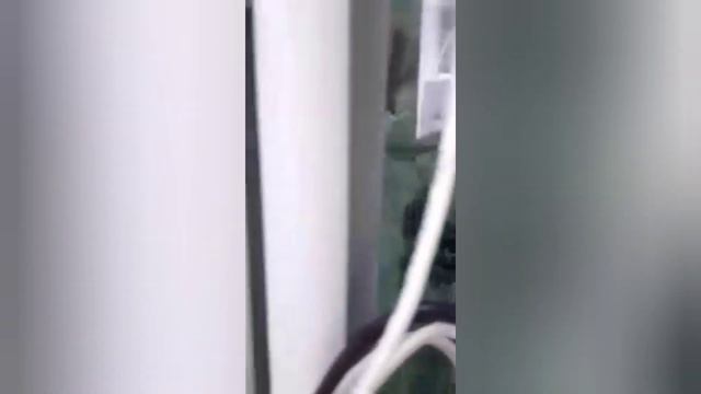 Дискусы из Ташкента. так держать.