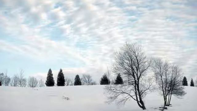 зима-красавица