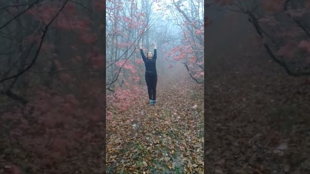 Сияние красок осени