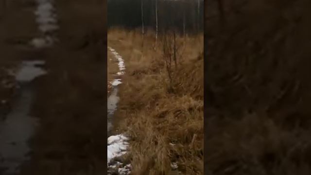 Санта грозный охотник