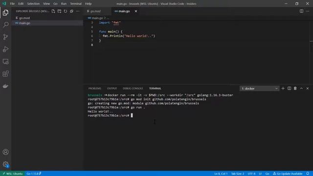 A way to setup development environment for go projects