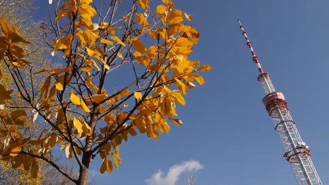 Panasonic Lumix DMC-G6. Тест