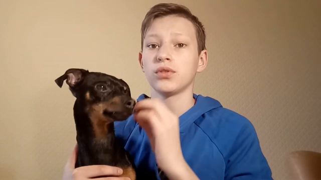 Люди с животными