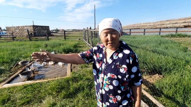 Басейн пруд для уток и гусей, своими руками.