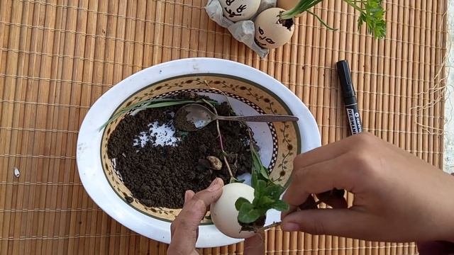 Как сделать поделку своими руками для дизайна интерьера. Улыбка природы. Shark & Friends.