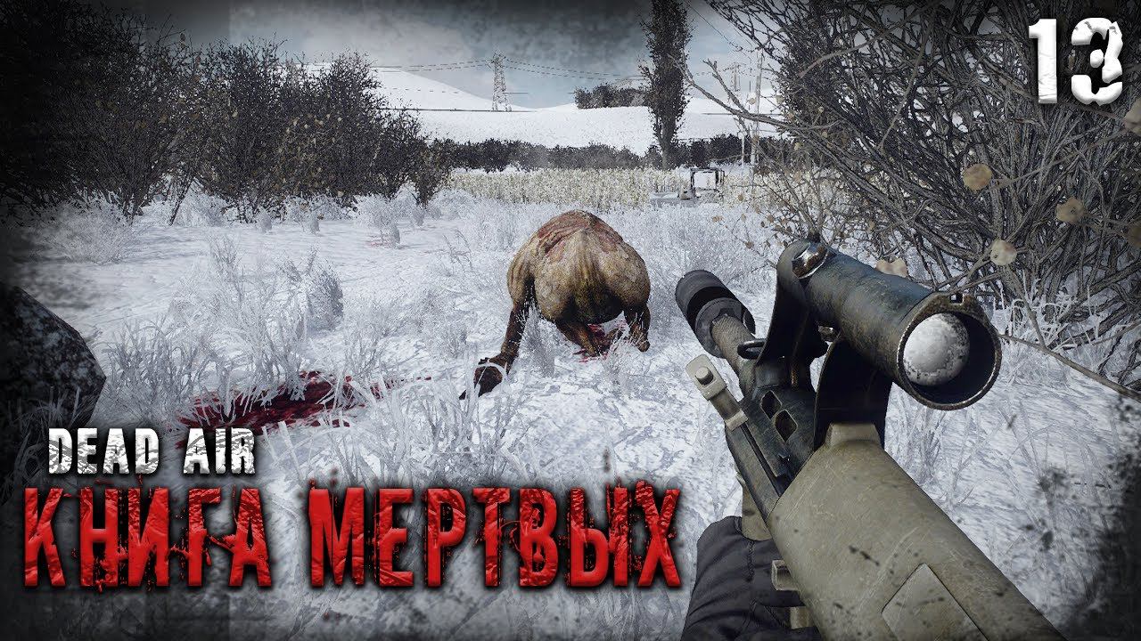 ЗИМНИЙ ВЫБРОС ☢ S.T.A.L.K.E.R. DEAD AIR "КНИГА МЕРТВЫХ" #13