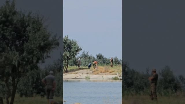 Нефтекумск, водохранка 06.08.2024г.#shorts