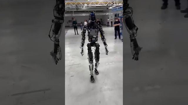 робот Илона Маска гуманоидный Optimus