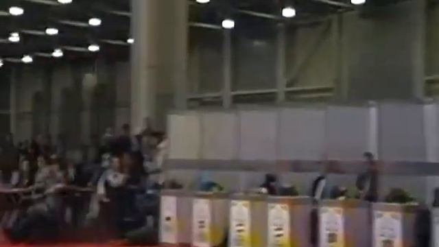 Золотой ошейник 2013. Первый отборочный тур.