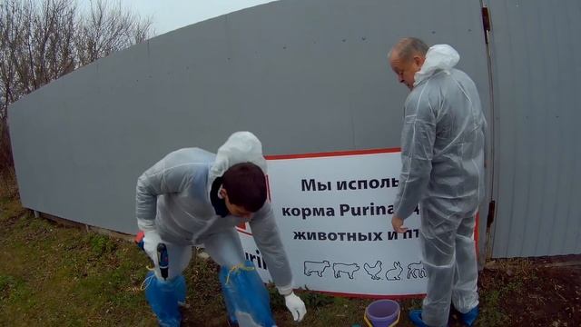 Зелёный день 'Каргилл' и 'Прайм-М' или как люди помогают людям