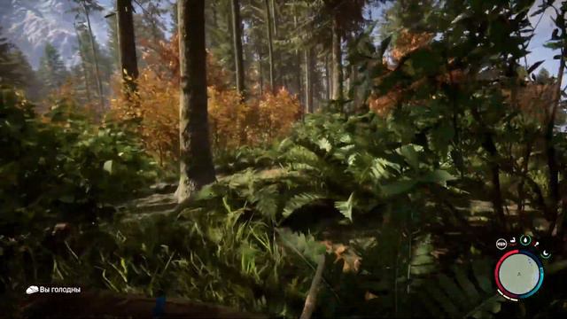 Sons Of The Forest # 3