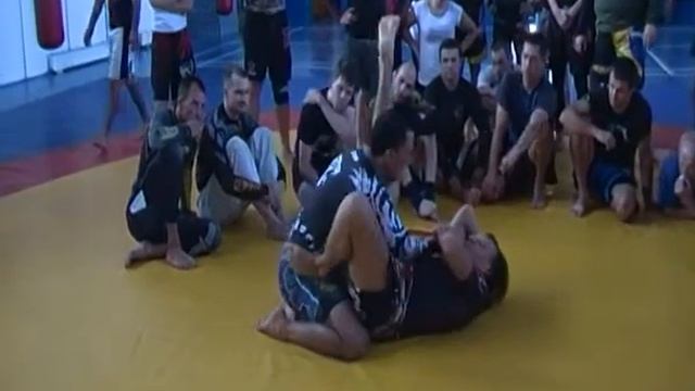 Семинар Александра ДЕДЫ Де Фарии  31 августа 2014 г Кемерово  Защита от треугольника