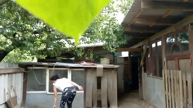 Алабай  Айкуша играет, прыгает как заяц!