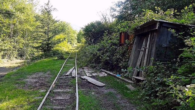 Родная даль 🏠🌲☀️