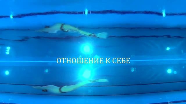Фридайвинг в Гранд отеле "Аристократъ"