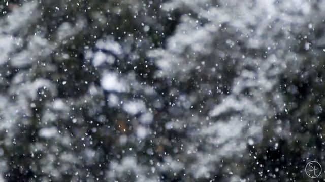 Relaxing music with beautiful images of snow and winter. Relax, meditation, focus, sleep.