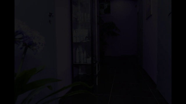 Gold Master Studio