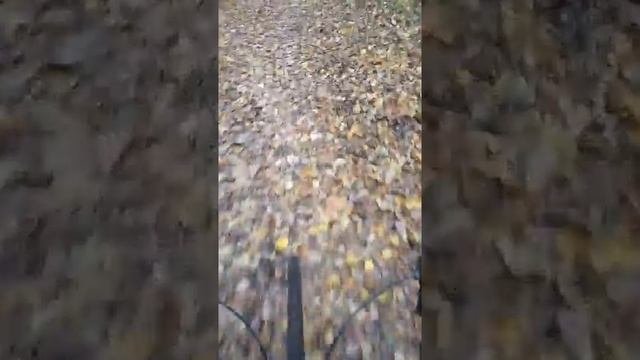 VID 20161003 135203