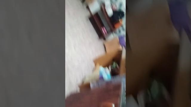 басик Миша показал нашу квартиру