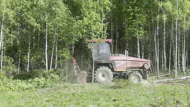 19 тысяч гектаров неиспользуемых земель введут в оборот в Смоленской области