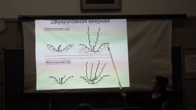 Веерная формировка для Подмосковья и северных регионов - фрагмент лекции в МОИПЕ Москва 2015 год