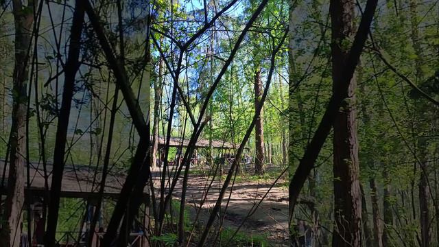 Москва солнечный шашлык в лесопарке. Шашлыки на майские 🍎