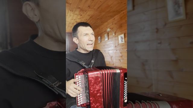 А лето цвета (Юра Шатунов cover) #гармонь #accordion #песниподгармонь #топ #music