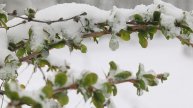 В Екатеринбурге побит рекорд по количеству выпавшего снега