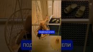 Сколько на самом деле стоит такой дом? #shorts
