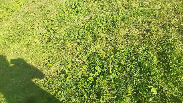 VID_20240824_171717.mp4