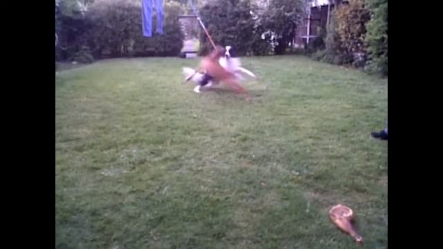 Kia And Sam'ed