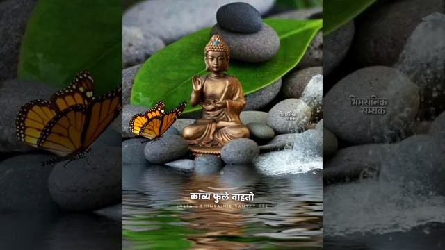 Tathagat Gautam Buddha 4k Status | Buddha Jayanti Coming Soon Status | Jaybhim Whatsapp Status 2022
