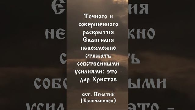 Цитата дня 31 января