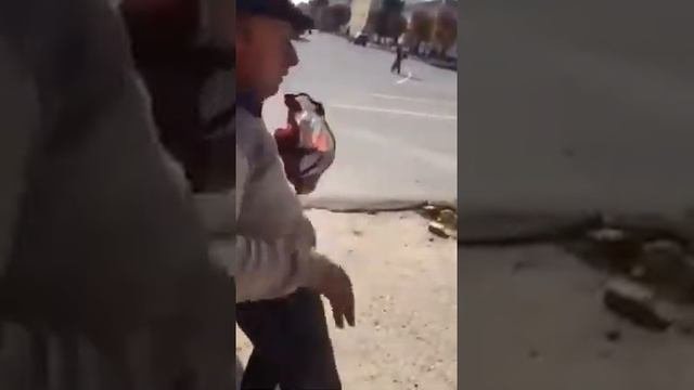 Вот что значит,равновесии потерять.