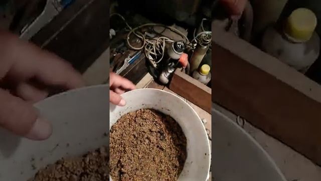 Убойная прикормка для всей мирной рыбы