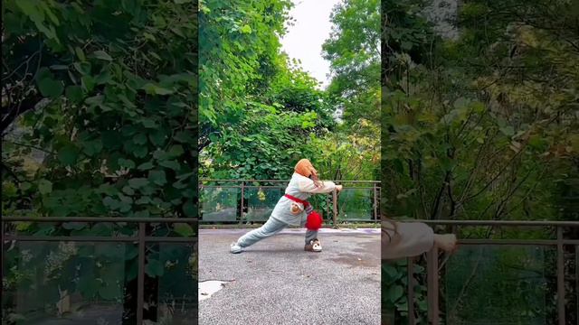 睡梦罗汉拳，Sleeping Arhat Fist