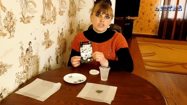 Посев агератума на рассаду в гидрогель. Как ухаживать посадить  уход посадка агератум