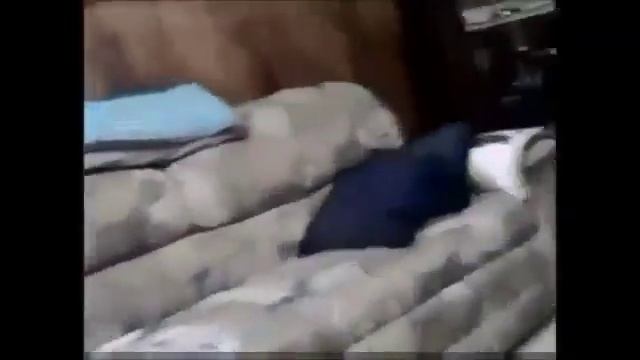 Ну что Догавкался Щенок?)))))))))