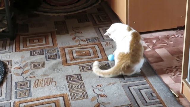 Интерактивный мяч со звуком для кошек
