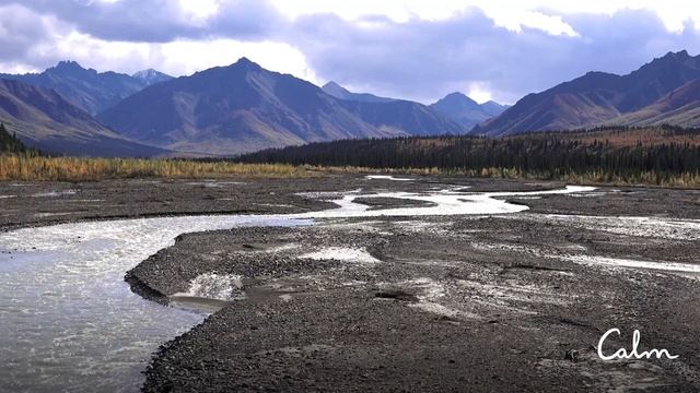 Успокаивающие звуки для сна