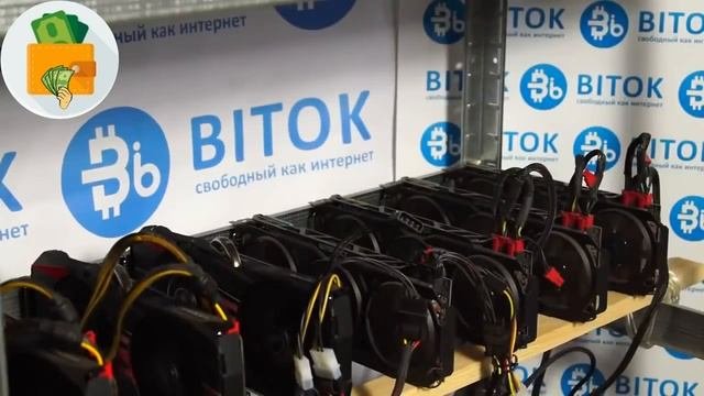 Возможности с компанией BITOK БитОк. Серверная БитОк
