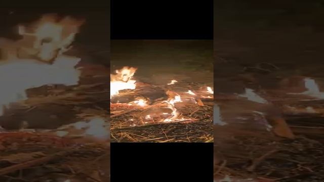 VID-20230517-WA0000.mp4