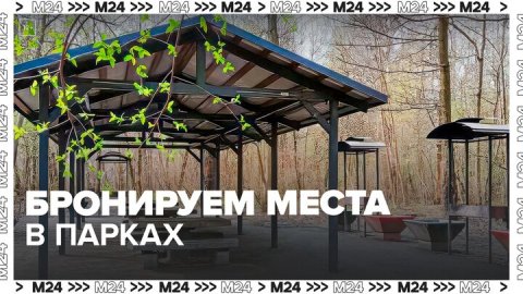 Москвичи смогут бронировать места для пикника в парках — Москва24