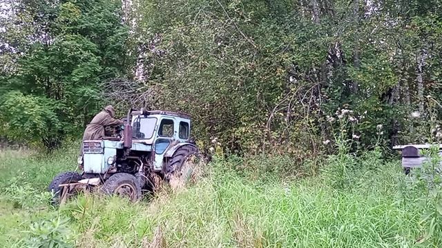 Трактор т-40ам