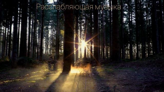 Расслабляющая музыка ?Для снятия стресса сна занятий.