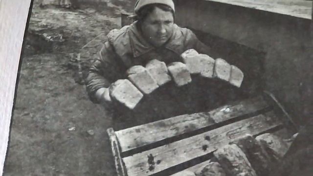 Как создать историю семьи