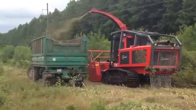 Сбор биомассы, получение из нее щепы_доклад профессора БНТУ Вавилова