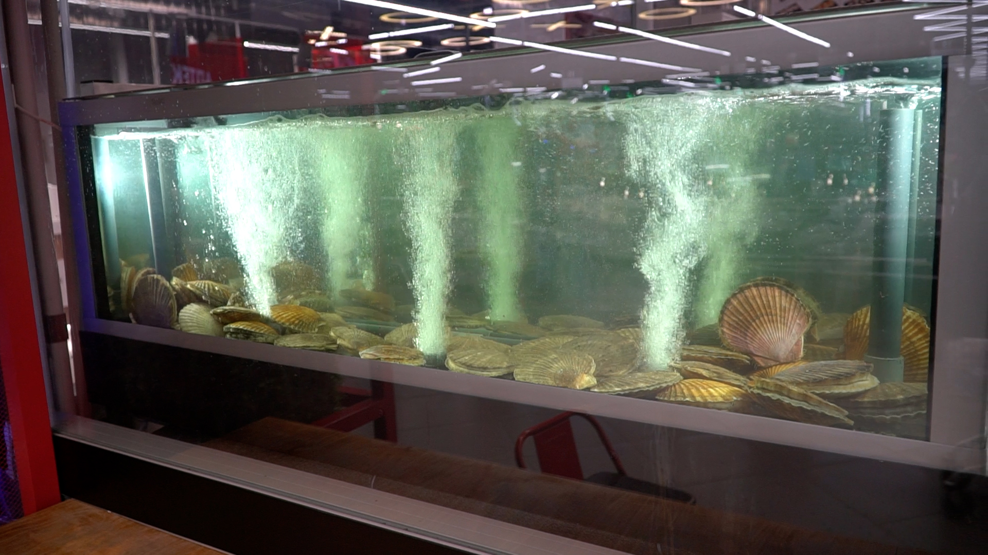 Установка нового аквариума для морепродуктов в суши-бар.