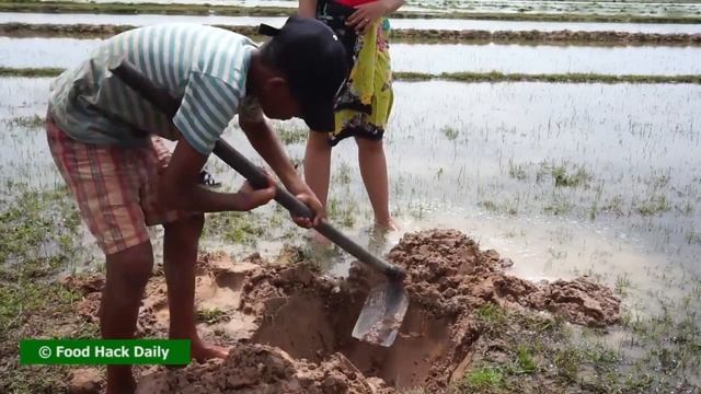 Красивая рыбалка на рыбалке с использованием глубоководной ловушки для рыбной ловли - Чистая рыбалк