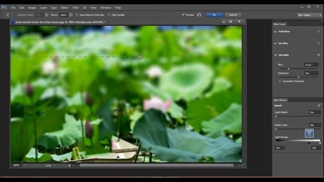 Photoshop Lab - Adding Blur  SoftLight Effects - Nithiyapriya